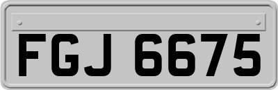 FGJ6675
