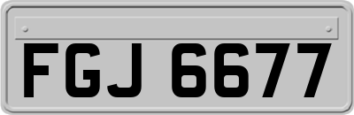 FGJ6677