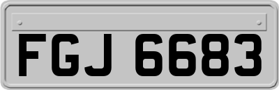 FGJ6683