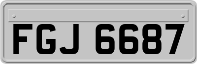 FGJ6687