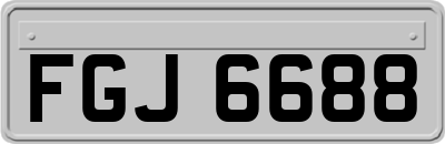 FGJ6688