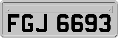 FGJ6693