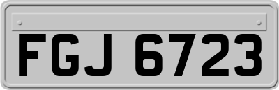 FGJ6723
