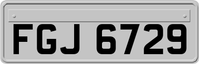 FGJ6729
