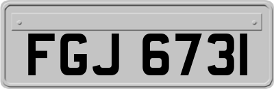 FGJ6731