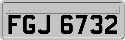 FGJ6732