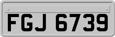 FGJ6739
