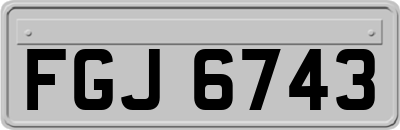 FGJ6743