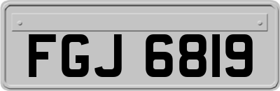 FGJ6819