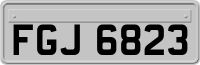 FGJ6823