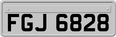 FGJ6828
