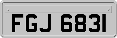 FGJ6831