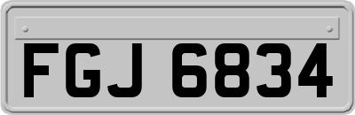 FGJ6834