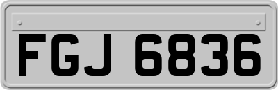 FGJ6836