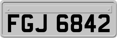 FGJ6842