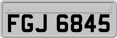 FGJ6845