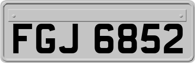 FGJ6852