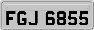 FGJ6855