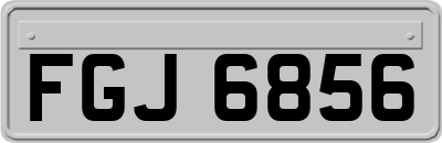 FGJ6856