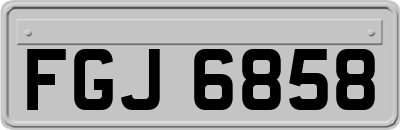 FGJ6858