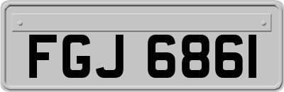 FGJ6861