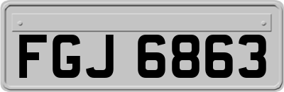 FGJ6863