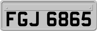 FGJ6865