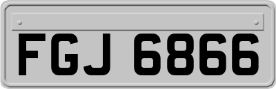 FGJ6866