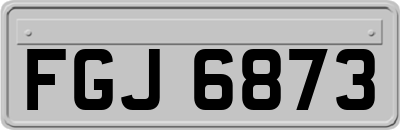 FGJ6873