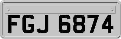 FGJ6874