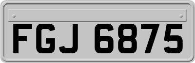 FGJ6875