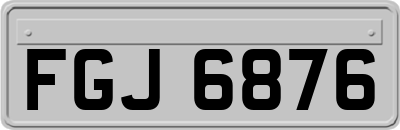 FGJ6876