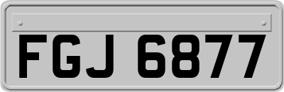 FGJ6877