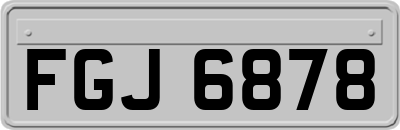 FGJ6878