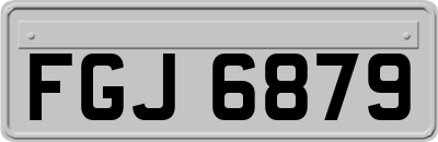 FGJ6879
