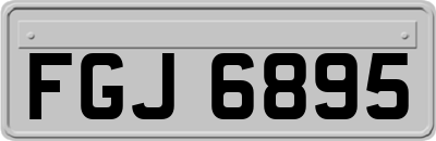 FGJ6895