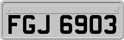FGJ6903