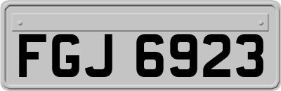 FGJ6923