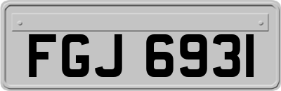 FGJ6931