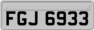 FGJ6933