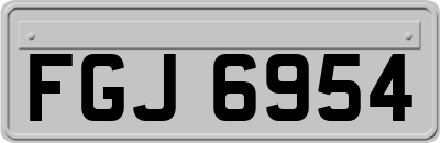 FGJ6954