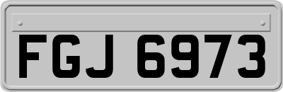 FGJ6973