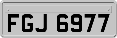 FGJ6977