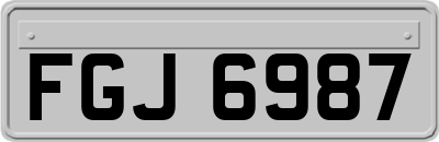 FGJ6987