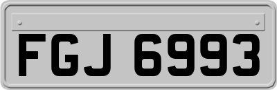 FGJ6993