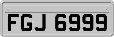 FGJ6999