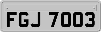 FGJ7003
