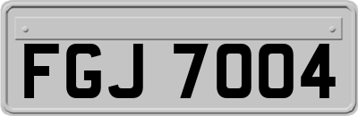 FGJ7004