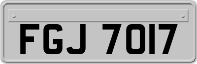 FGJ7017