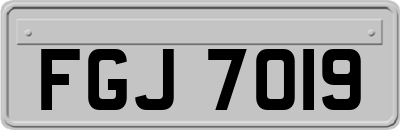 FGJ7019